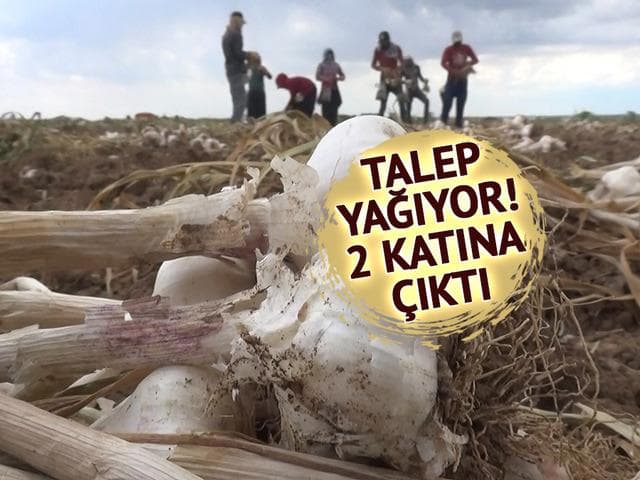 İspanya ve Rusya sıraya girdi: Almanya da istedi ama kalmadı