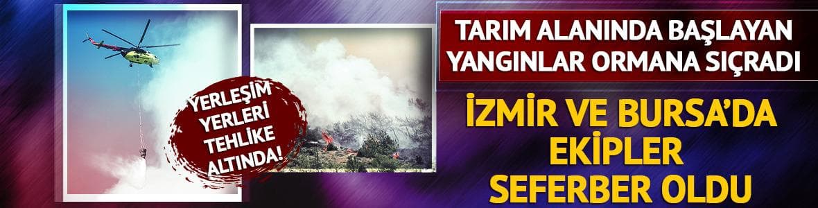 İzmir'de maki, Bursa'da orman yangını! Çok sayıda ekip seferber oldu