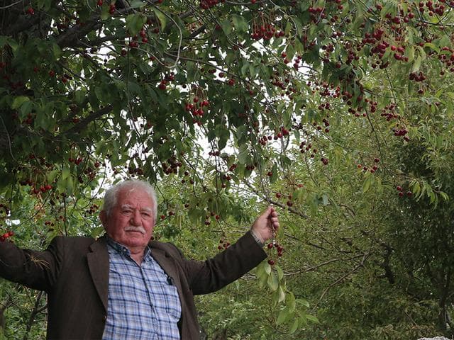 Bu yıl 3 ton olacak: Mühendis yönlendirmesiyle bu işe başladı