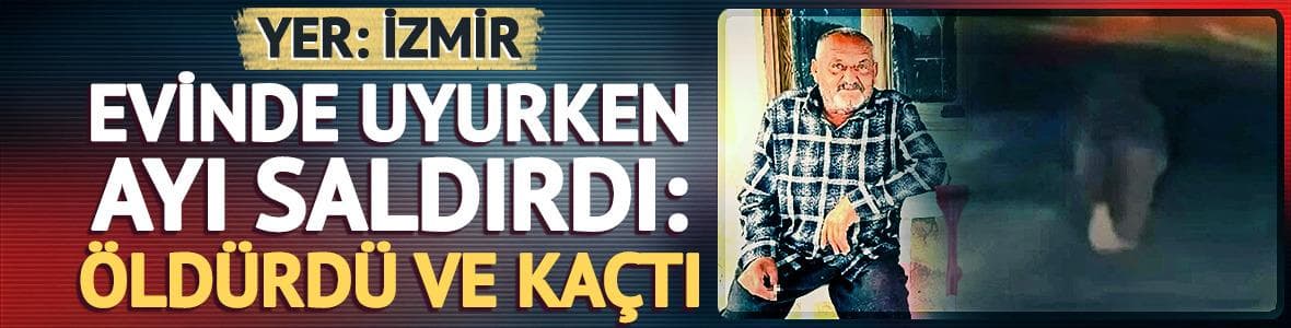 Evinde uyurken ayı saldırdı: Öldürdü ve kaçtı