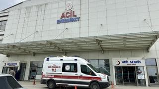Ormandan toplamışlardı: Pişirip yiyen 30 kişi hastanelik oldu